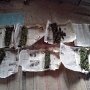 Собрать урожай крымским «наркоаграриям» не позволили милиционеры