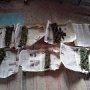 В Красногвардейском районе милиция «собрала» 30 кг марихуаны