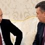 Путин и Янукович проводят неформальную встречу в Сочи