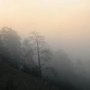 В Симферопольском районе три грибника заблудились в тумане