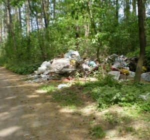 Образование новых свалок в Севастополе связали с пассивностью чиновников