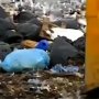 Экологи разрешили предприятию «Чистый город» разместить в Симферополе на улице Генерала Васильева мусоросортировочный комплекс