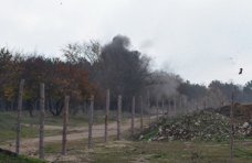 В Севастополе уничтожили противопехотную мину