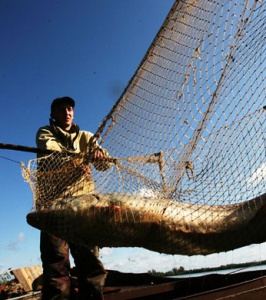 Под Саками задержали браконьера с рыбой на 20 тыс.