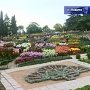 В Никитскому Ботаническому Саду почти одновременно зацвело 280 сортов крупных и мелких цветов
