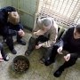 Милиция объявила о снижении в Крыму числа тяжких преступлений