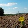 В Армянске местной общине вернули 30 га сельхозугодий