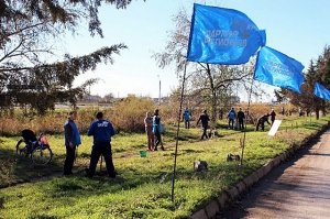 В Крыму на дорогах отлавливают водителей для посадки деревьев