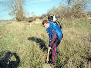 В Крыму на дорогах отлавливают водителей для посадки деревьев