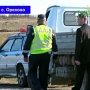 В Крыму на дорогах отлавливают водителей для посадки деревьев