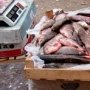 У стихийных торговцев в Крыму изъяли 42 кг рыбы