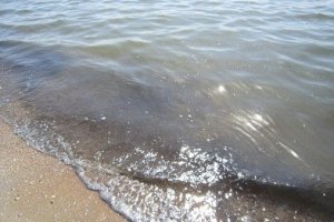 В морской воде возле Керчи экологи нашли превышение нефти и железа