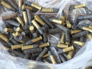 В крымском лесу найден целый арсенал боеприпасов