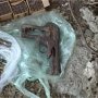 Крымский грибник обнаружил в лесу целый арсенал оружия