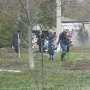 Перинатальный центр в Симферополе высадил в честь новорожденных деревья