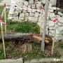 Под ворота частного дома в Керчи подбросили три минометные мины