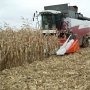 Аграрии завершили в Крыму уборку поздних зерновых