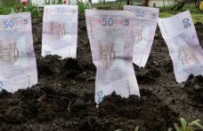 В Крыму за аренду сельхозпаев выплачено 9,8 млн. гривен.