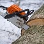 ГАИ требует вырубить деревья вдоль дорог в Крыму