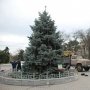В Евпатории начали наряжать главную городскую елку