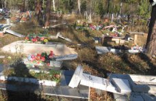В Крыму дети разгромили могилы на сельском кладбище