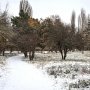 «Второе дыхание» возвращённого гектара