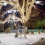 «ДТЭК Крымэнерго» устроило иллюминацию в парке Симферополя