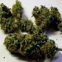 В Крыму подростка поймали с мешком марихуаны