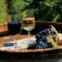 «Магарач» обещает заполонить рынок вином из собственного винограда