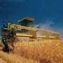 Показатели по сбору урожая в Крыму возросли по сравнению с предыдущим годом
