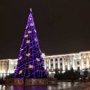 В Симферополе произойдёт открытие городской елки