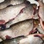 В Нижнегорском районе закрыли незаконно работающий рыбный цех
