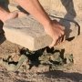Милицию Крыма желают привлечь на борьбу с «черными археологами»