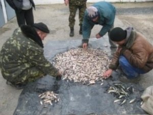 Улов крымских браконьеров потянул на 117,5 тыс. гривен