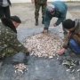 Улов крымских браконьеров потянул на 117,5 тыс. гривен