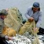 В Крыму за год поймали более 100 браконьеров