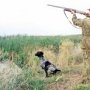 В Крыму под охотугодьями занято более 2 млн. га земли