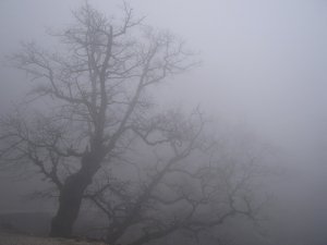 В Ночное Время и утром Крым накроет туман