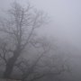 В Ночное Время и утром Крым накроет туман