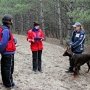Собак-спасателей тестируют на профпригодность в Крыму