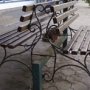 В Алуште обновят дизайн городских скамеек