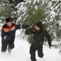За незаконную вырубку елок в Крыму задержали 19 человек
