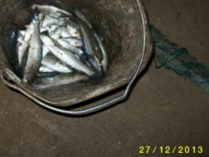 За сутки в Крыму отловили двух любителей незаконной рыбалки