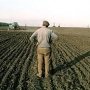 Крупные крымские аграрии могут провожать старый год с чистой совестью
