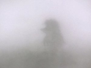 Крым «пленен» туманом
