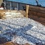 За год керченские рыбаки выловили около 13 тыс. тонн рыбы