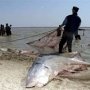 Браконьеры выловили более тонны рыбы в Крыму