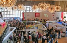 Темой туристической выставки в Ялте станет активный туризм