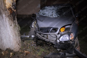 В Керчи иномарка влетела в дерево: юная пассажирка в коме