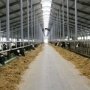 Мясо-молочные предприятия Крыма уплатили за год 9,6 млн. гривен. НДС
